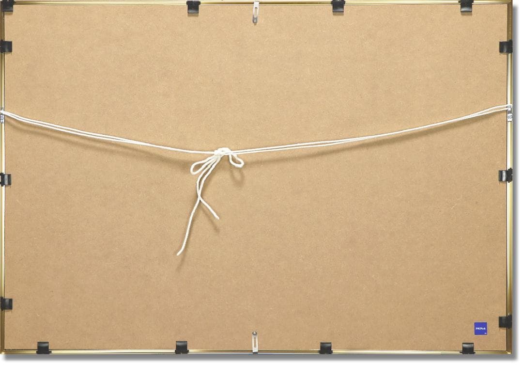 ◇ベルナール・カトラン 『青い背景のアイリス』 額装オフセット