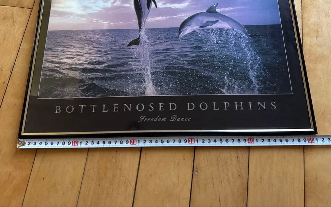 ボトルノーズド ドルフィンズ TOM BRAKEFIELD 額入り　レア