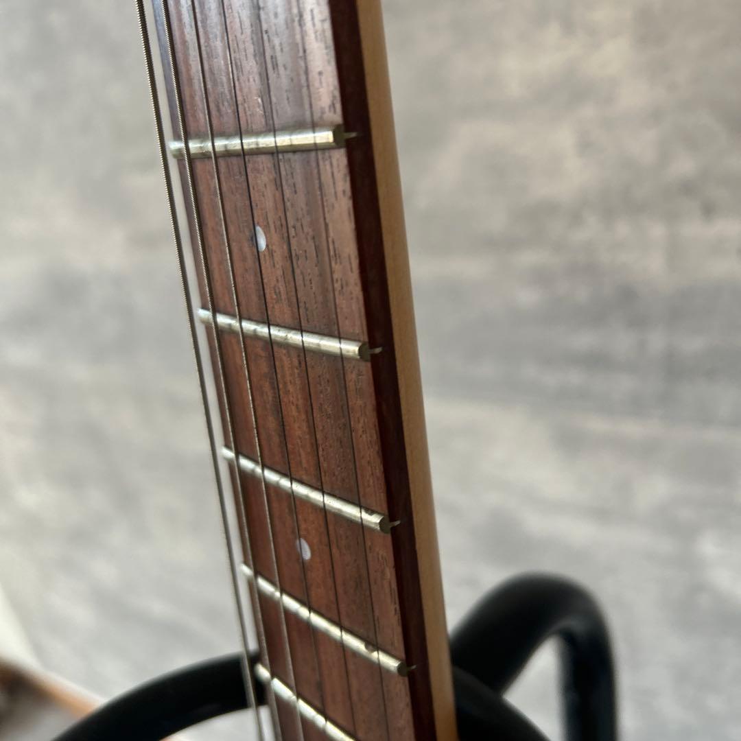 Fernandes APG-65S サスティナー搭載