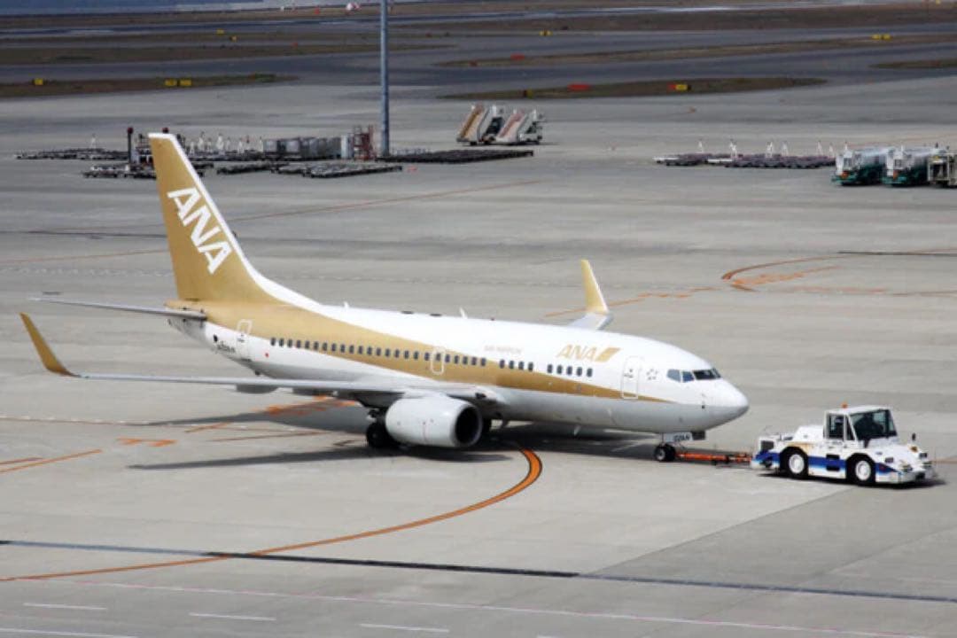 ANA 国旗カット Aviationtag B737-700