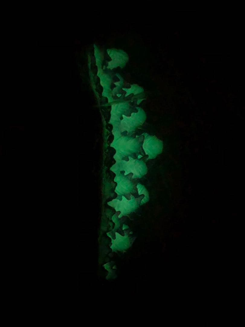 サルジルシ ゴジラ(2016) シンゴジラ 第4形態 覚醒 ソフビ 1期 - メルカリ