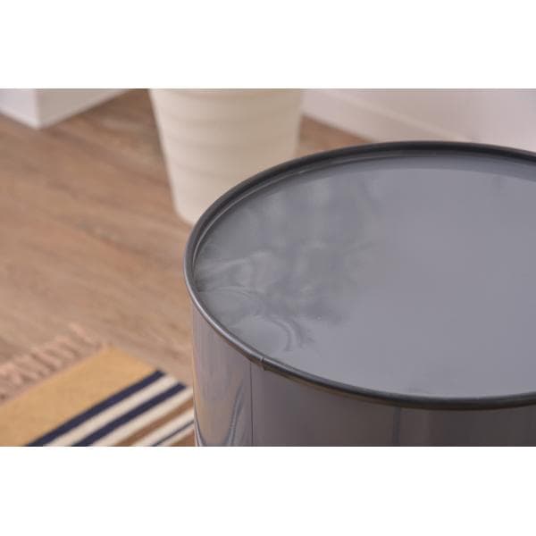 sale！お手入れ簡単 移動かんたん 40リットル 防臭 おしゃれ ゴミ箱 銀