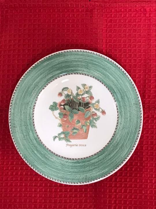 サラズガーデンプレート21cm 27cm 各6枚