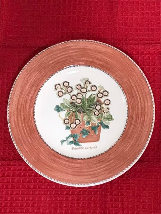 サラズガーデンプレート21cm 27cm 各6枚