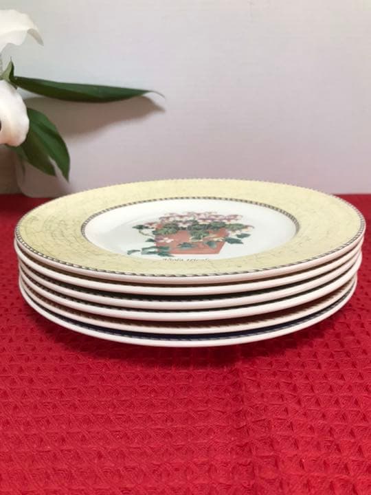 サラズガーデンプレート21cm 27cm 各6枚