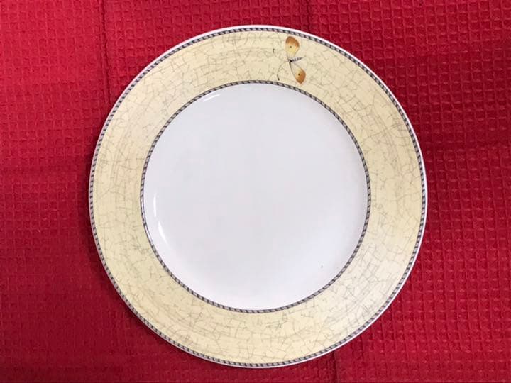 サラズガーデンプレート21cm 27cm 各6枚