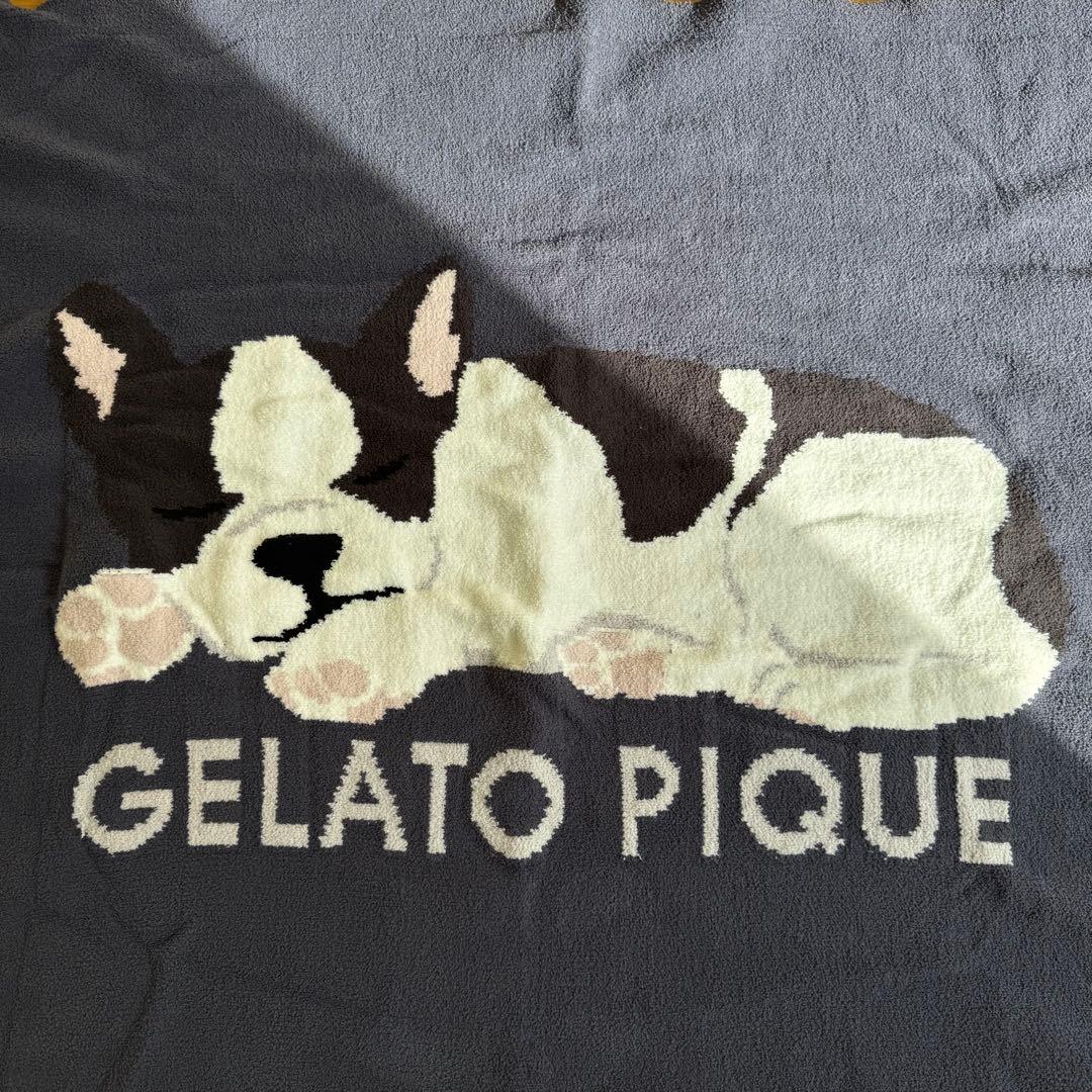 ★正規品★新品 ジェラートピケ フレンチブルドッグ フレブル ブランケット