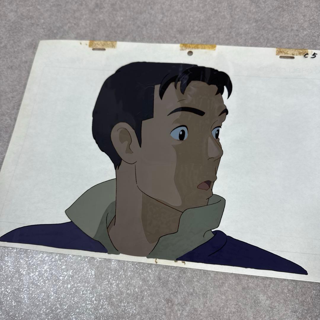 希少 おもひでぽろぽろ トシオ セル画 C5 スタジオジブリ