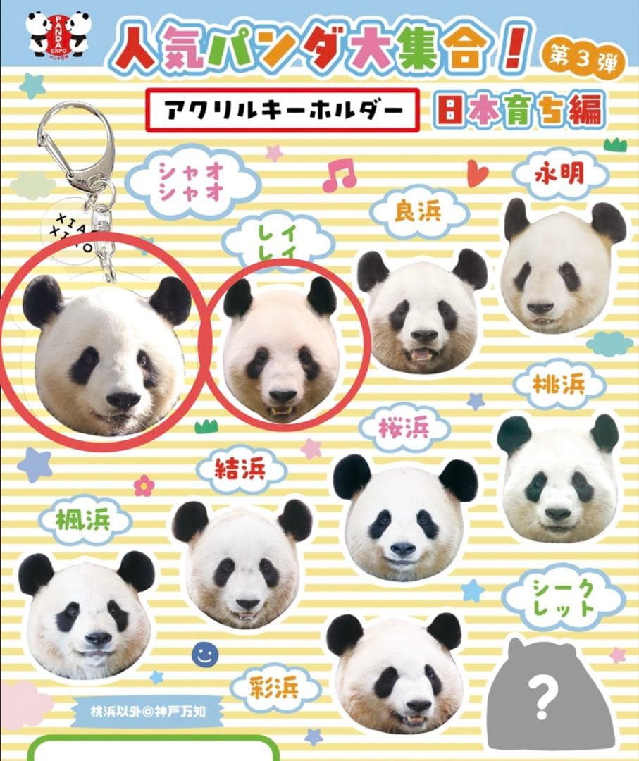 上野 パンダ 春節祭 ガチャ キーホルダー シャオシャオ レイレイ 暁暁