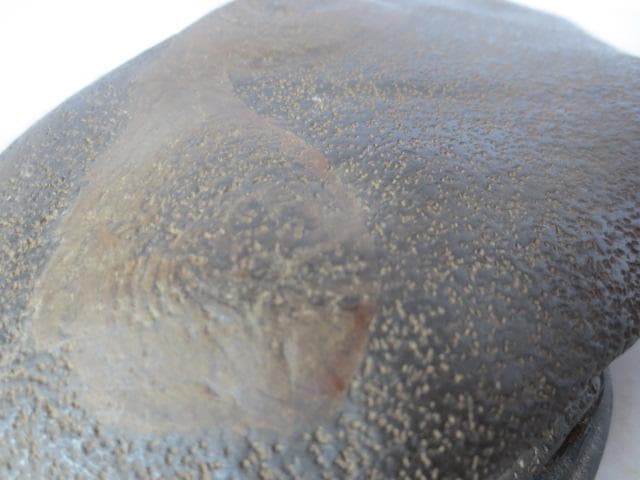 R7/06/20-1　瀬田川梨地　平野岬　ウブ石　古色抜群！　幅20センチ