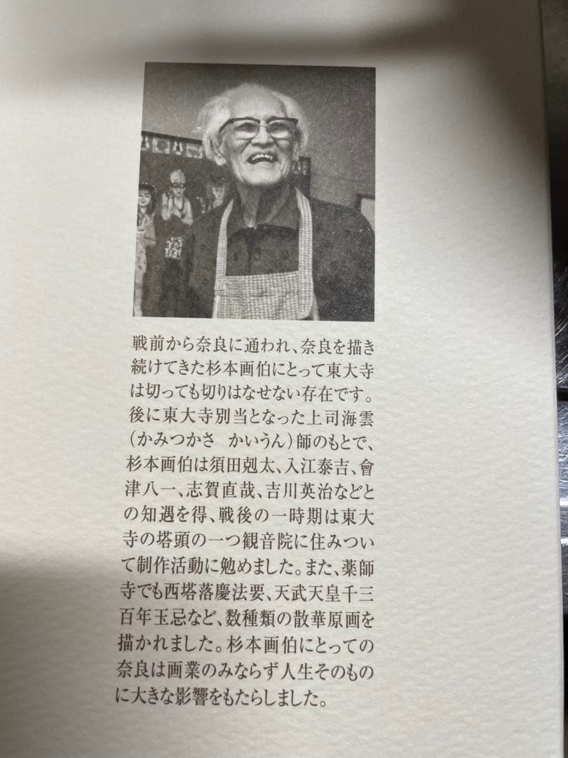 杉本健吉画 東大寺散華ポストカード25枚 - メルカリ