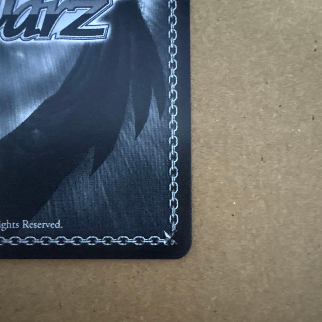 日曜限定価格！　WS サマポケ ラッキーアクシデント 新カラー SP サイン