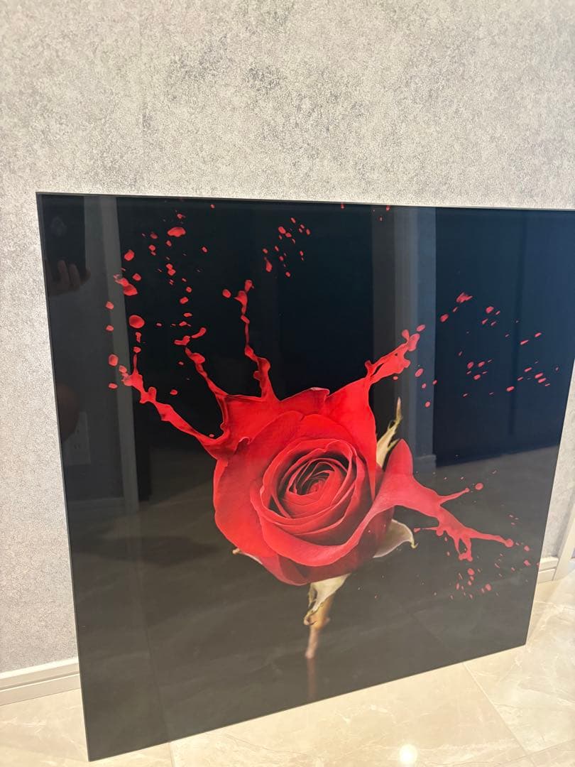 Francfranc アクリルアート