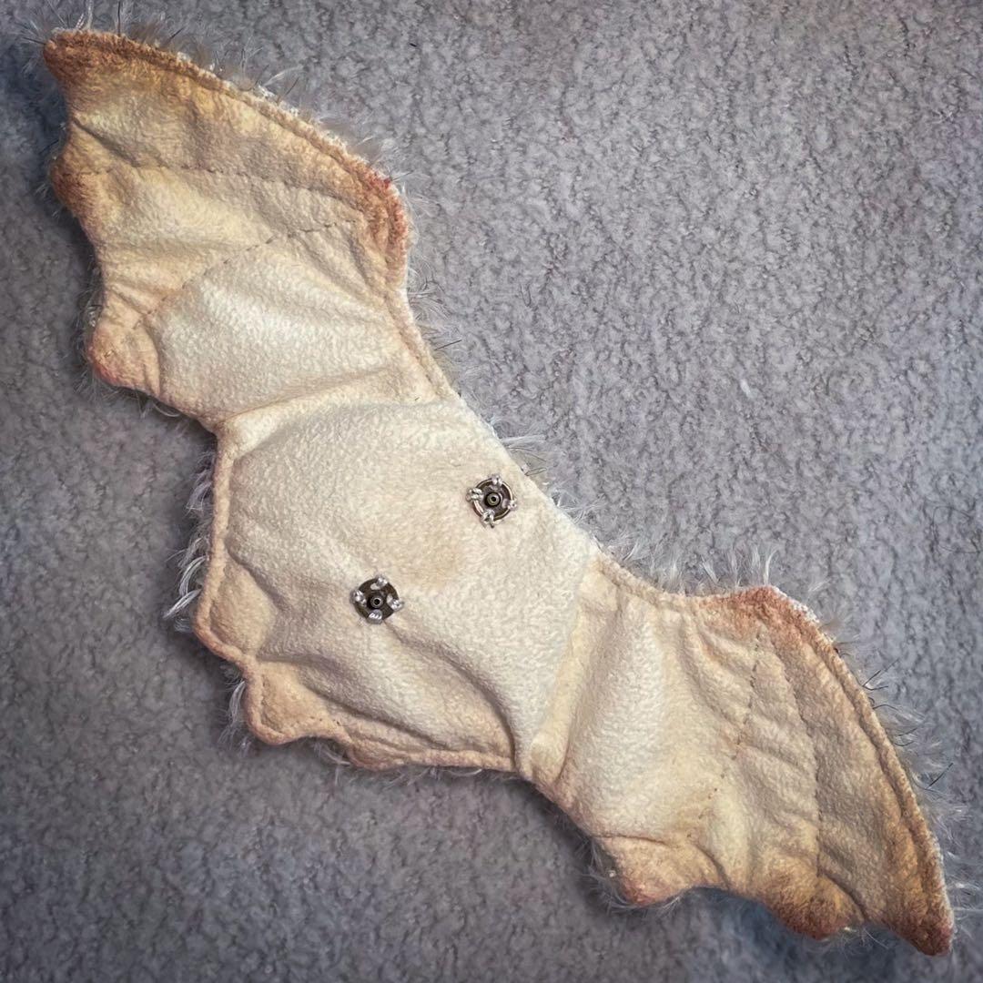 【1/31まで】fluffyteddy＊Halloweenイタズラコウモリ