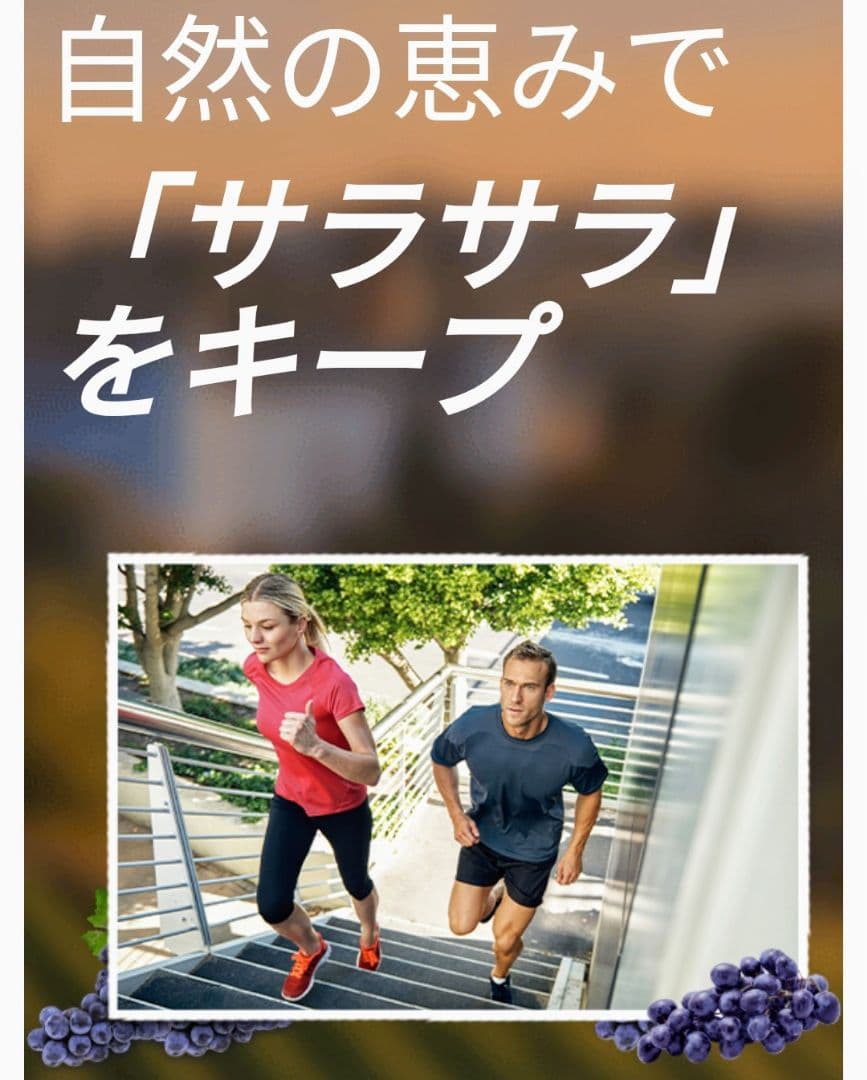 新品 メラルーカ プロヴェックスCV アンチエイジング ダイエットサプリ