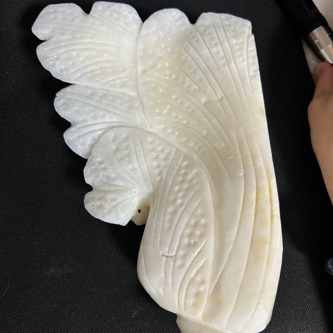 福山◀️Ｐ13希少品の海の中大きいの貝彫刻置物