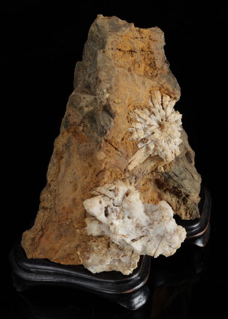 は*よ様 根尾川 菊花石 白菊 紋石 台座 共箱付 1.2kg 鑑賞石 原石 盆