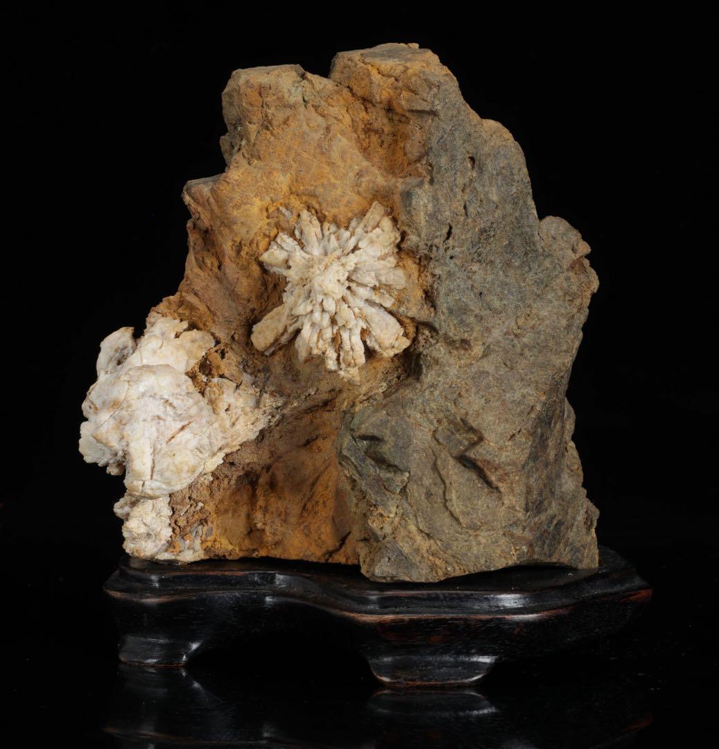 は*よ様 根尾川 菊花石 白菊 紋石 台座 共箱付 1.2kg 鑑賞石 原石 盆