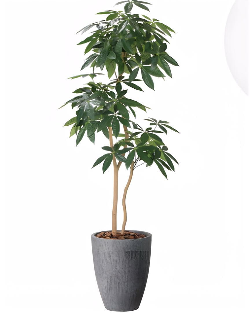 光触媒　人工観葉植物　フェイクグリーン　ナチュラルパキラ 1.8m