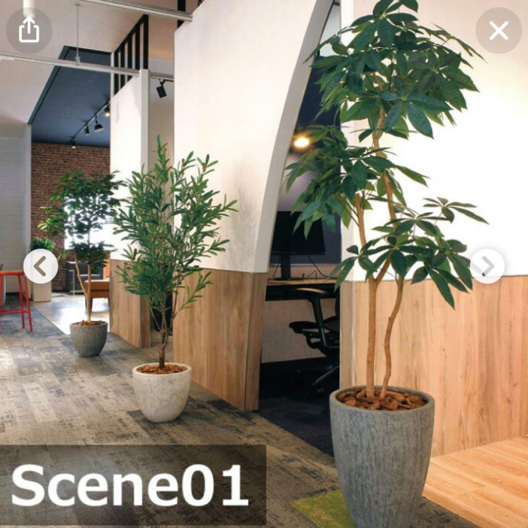 光触媒　人工観葉植物　フェイクグリーン　ナチュラルパキラ 1.8m