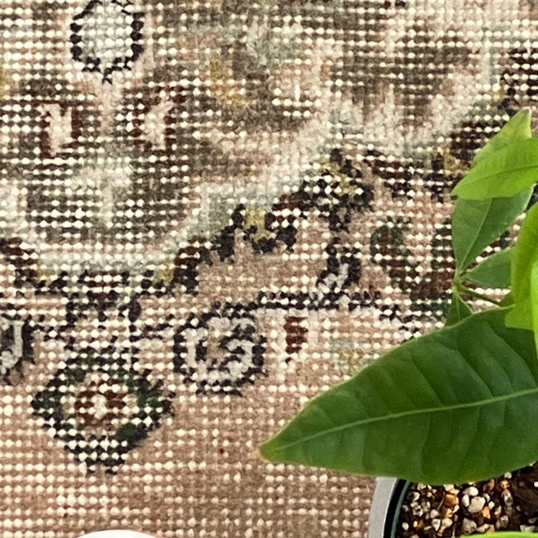 キャラメルベージュ89×84グレー メダリオン ラウンド トルコ