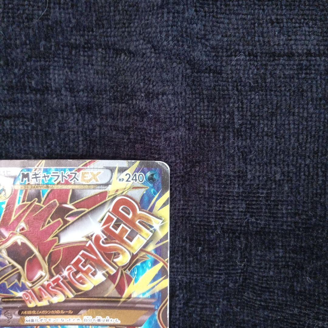 MギャラドスEX SR XY9 破天の怒り 082/080