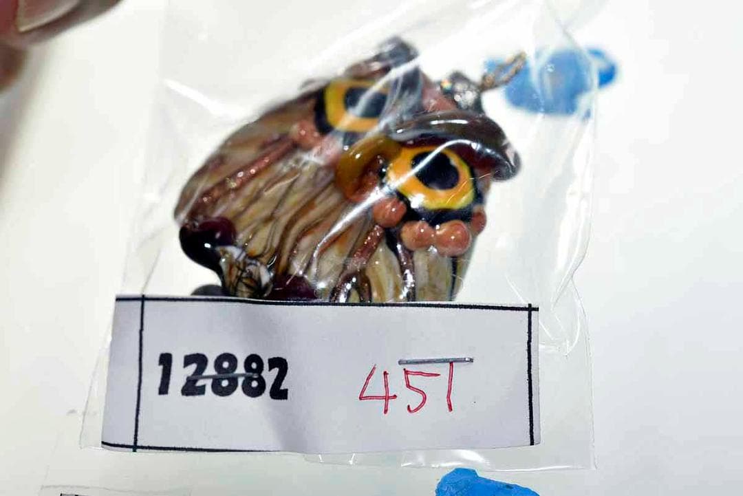 とんぼ玉 トンボ玉 蜻蛉玉 ペンダントトップ ガラス細工　12882-451