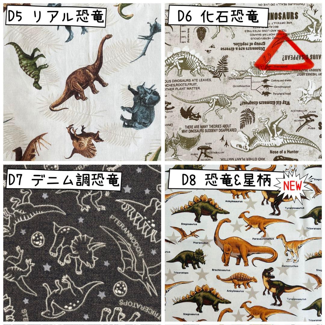 入園 入学 ☆レッスンバッグ　オーダー 受注注文 男の子　《恐竜　ダイナソー》