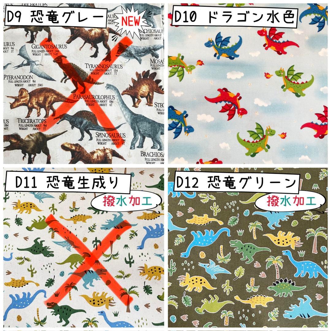 入園 入学 ☆レッスンバッグ　オーダー 受注注文 男の子　《恐竜　ダイナソー》