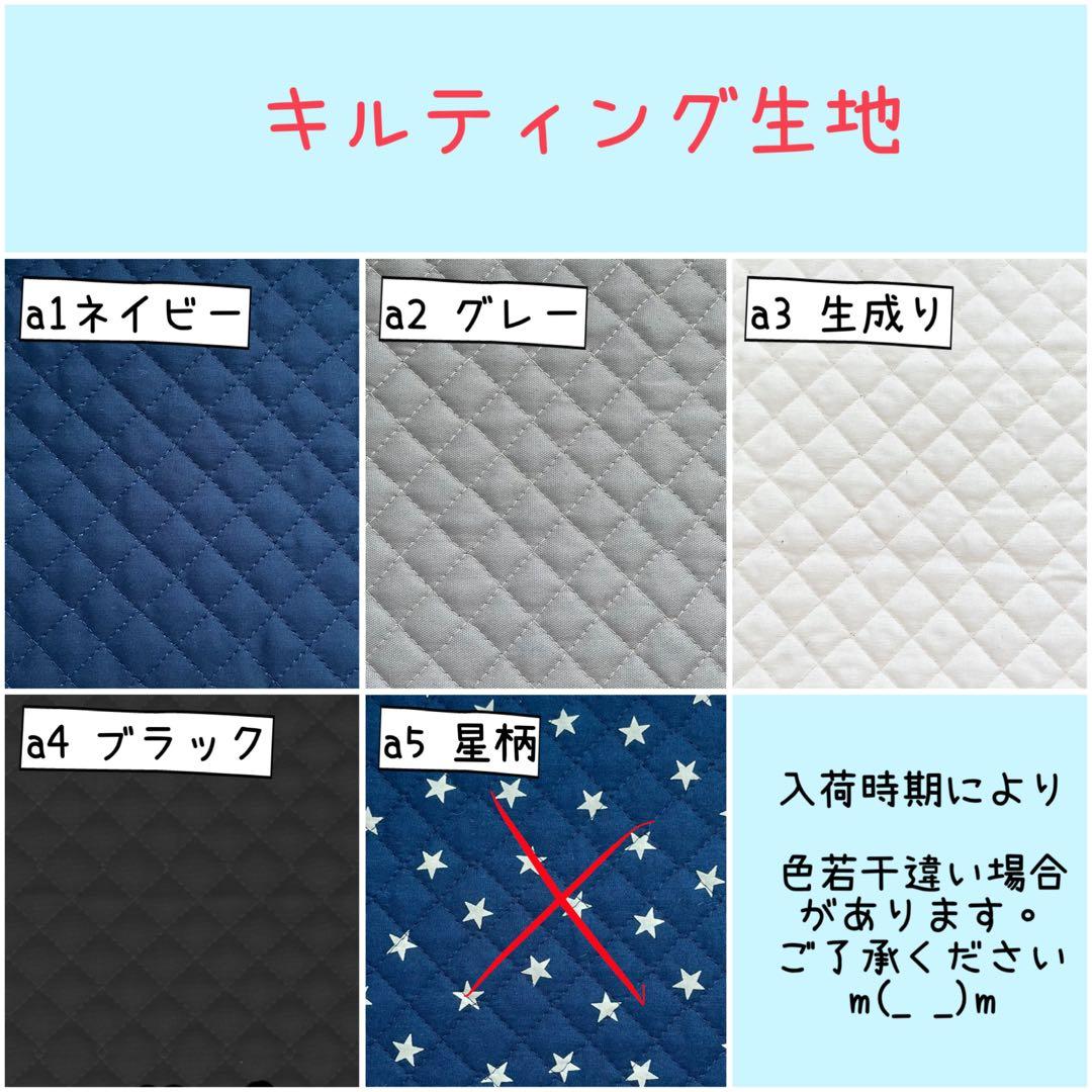 入園 入学 ☆レッスンバッグ　オーダー 受注注文 男の子　《恐竜　ダイナソー》