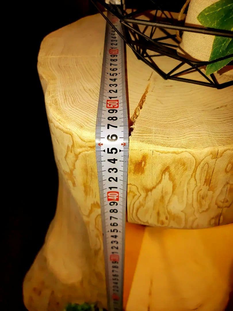 大型 切り株 ひのき くりぬき 親子 本立て 椅子 スツール テーブル高46cm