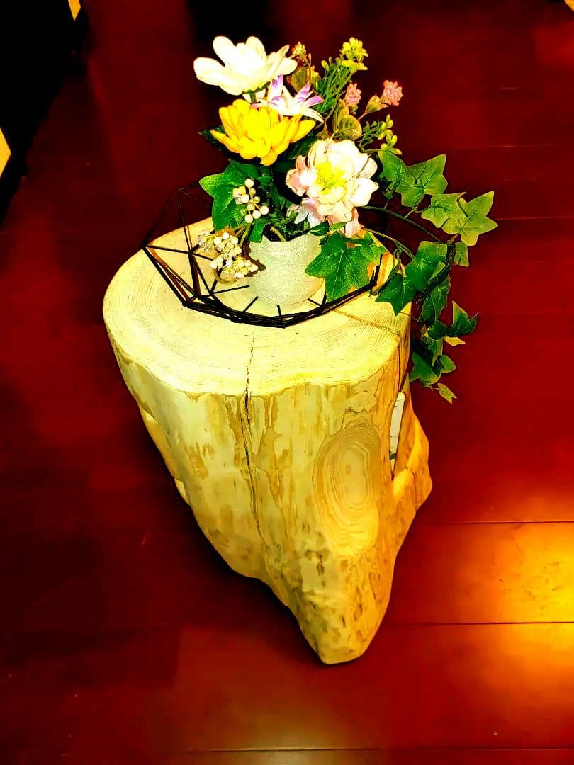 大型 切り株 ひのき くりぬき 親子 本立て 椅子 スツール テーブル高46cm