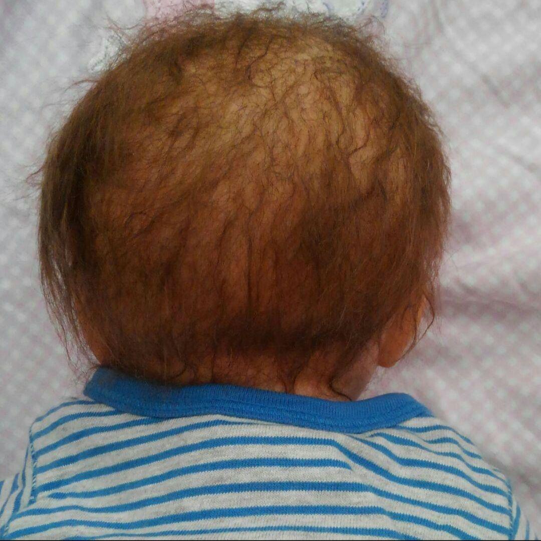 ♡リボーンドール♡可愛いボク