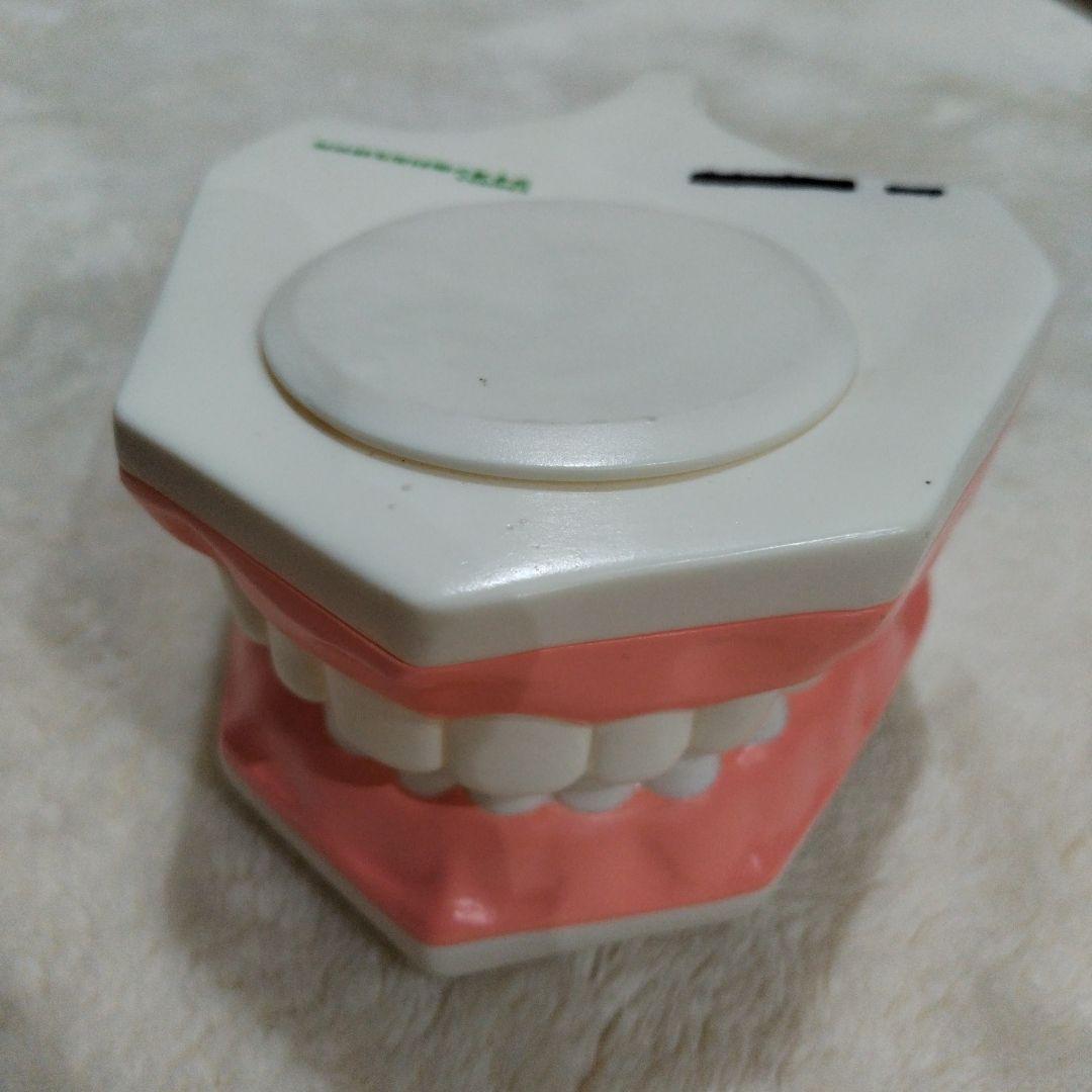 最終価格　LION　歯磨き指導用模型・ブラシ付き