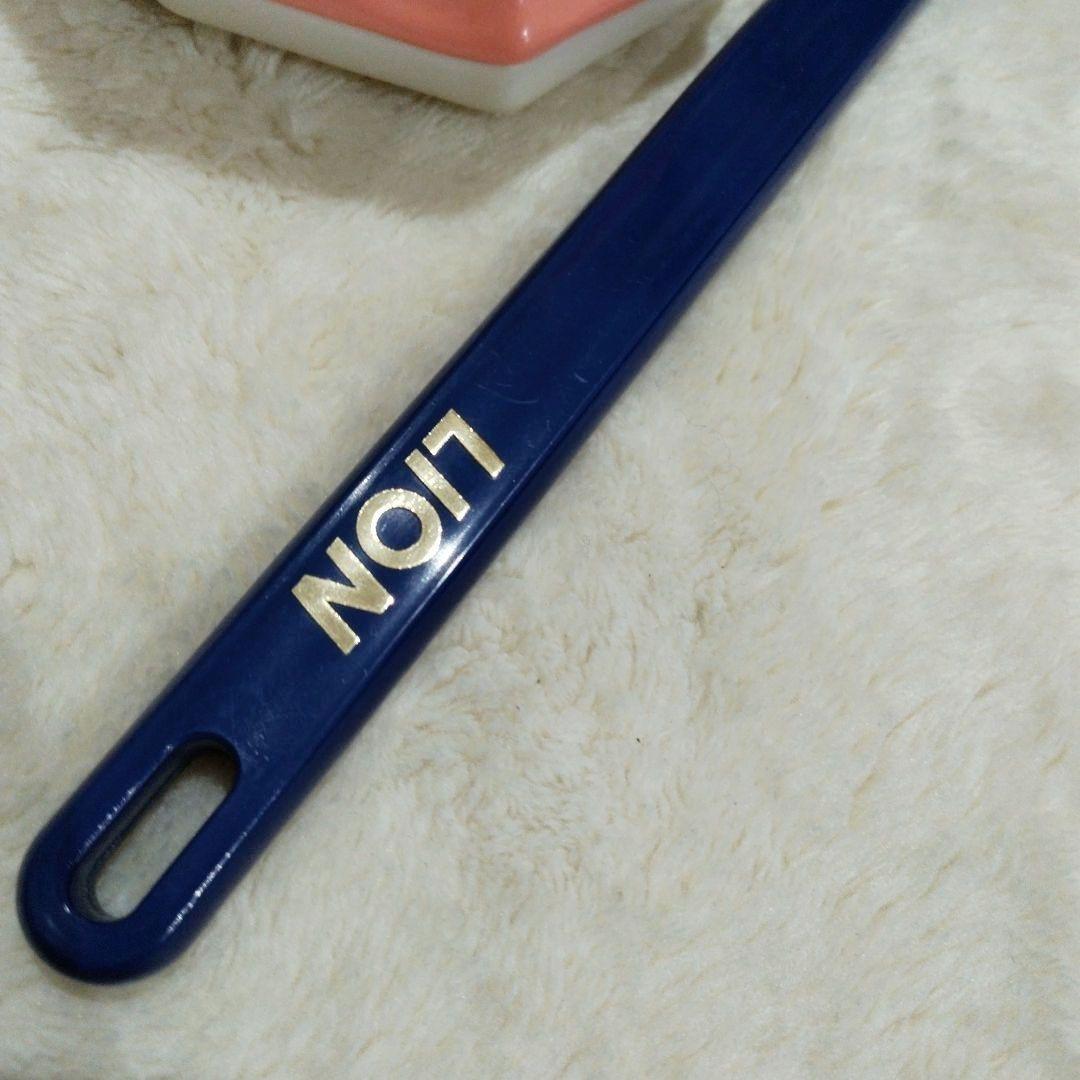 最終価格　LION　歯磨き指導用模型・ブラシ付き