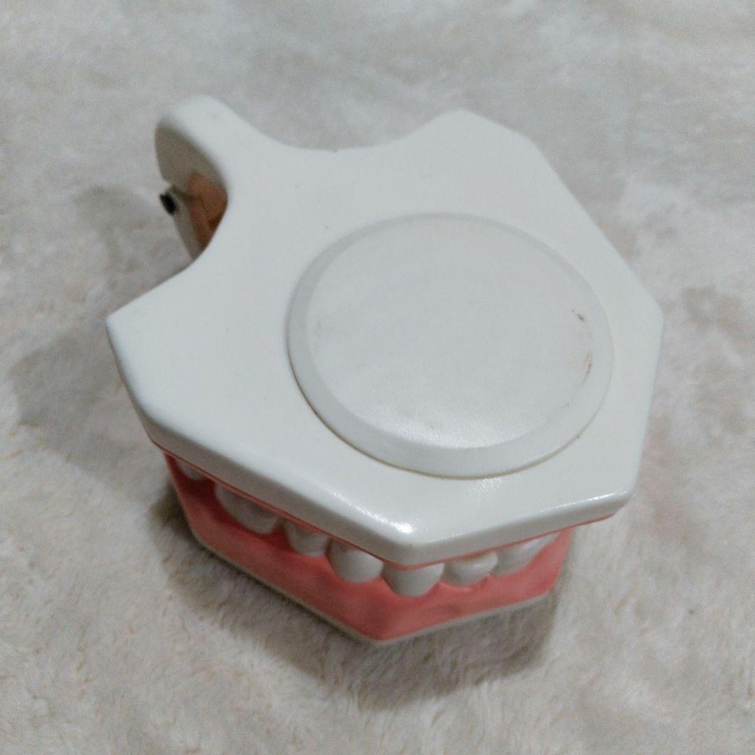 最終価格　LION　歯磨き指導用模型・ブラシ付き