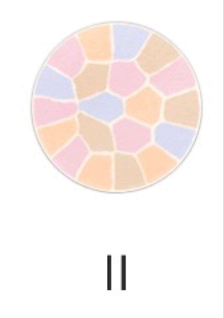 ‼️未開封‼️エレガンスラプードルオートニュアンスリクスィーズⅡ27g (レフィル)