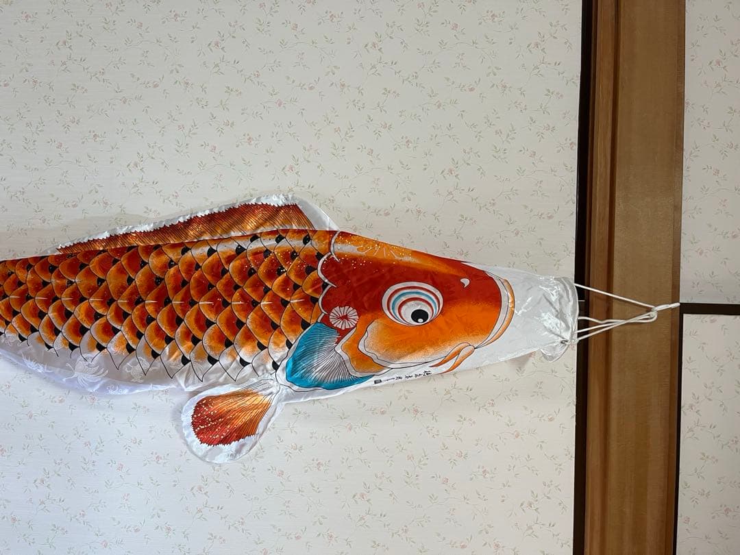 鯉のぼり　1.5m赤鯉　吉兆　C