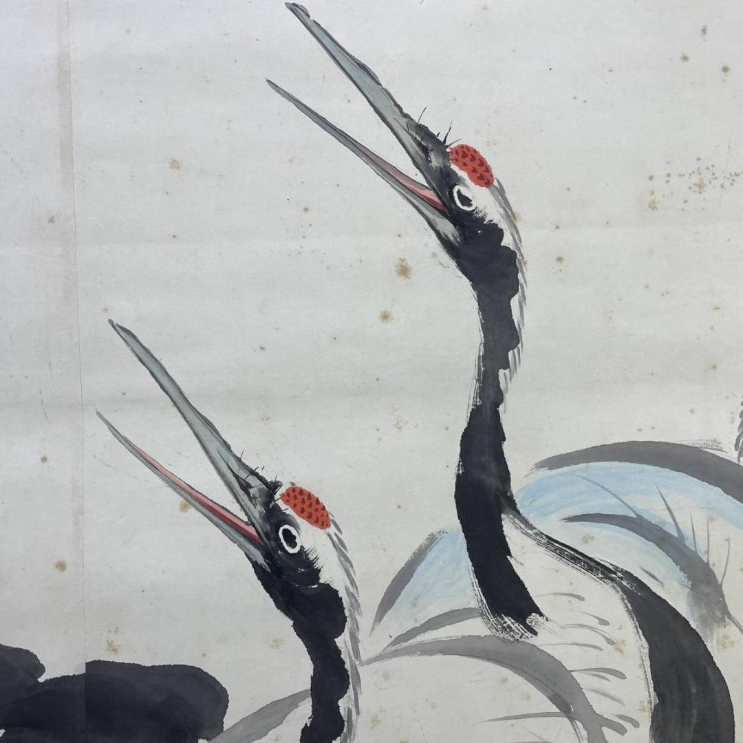 真作/光観/群れ鶴図/鶴/超大幅/布袋屋掛軸A-576 - メルカリ