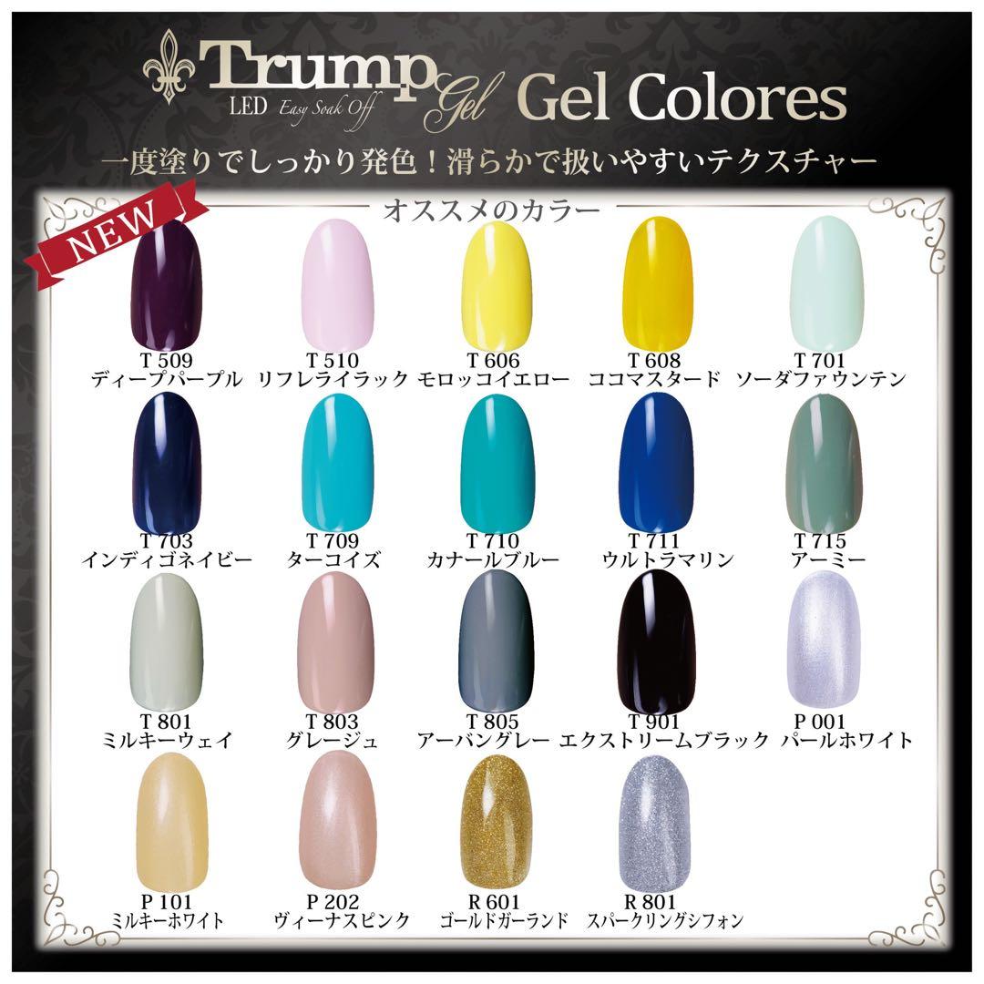 ネイルン100gバルクセット５色