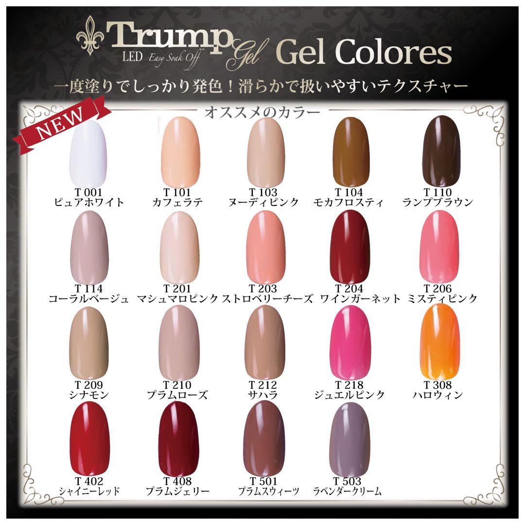 ネイルン100gバルクセット５色