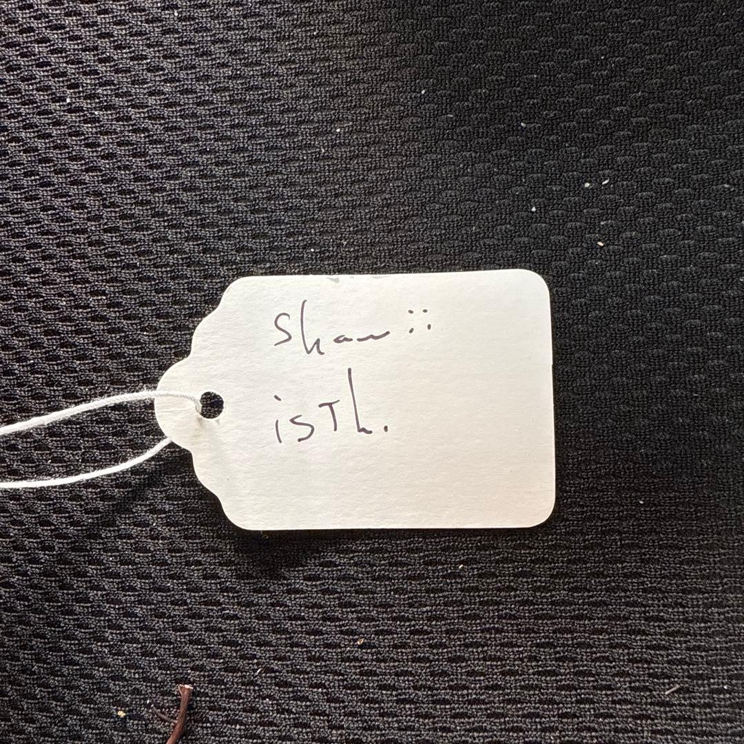 アガベ　シャウィー × イシスメンシス　ハイブリッド　シャウイシ　ジェレミー