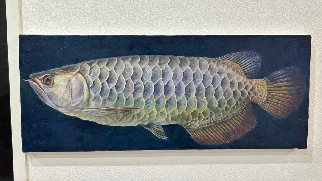 アロワナ　アクリルガッシュ　絵画　版画