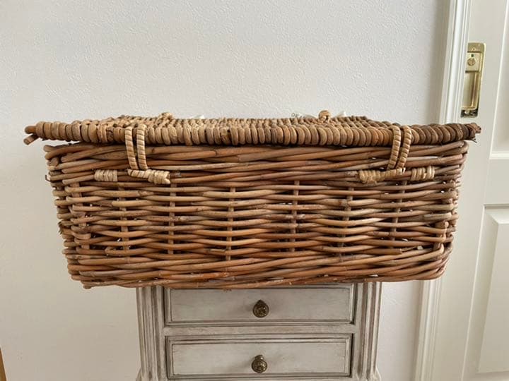 可愛いカゴ　トランク型バスケット　ピクニック