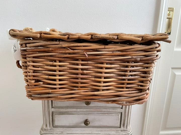 可愛いカゴ　トランク型バスケット　ピクニック