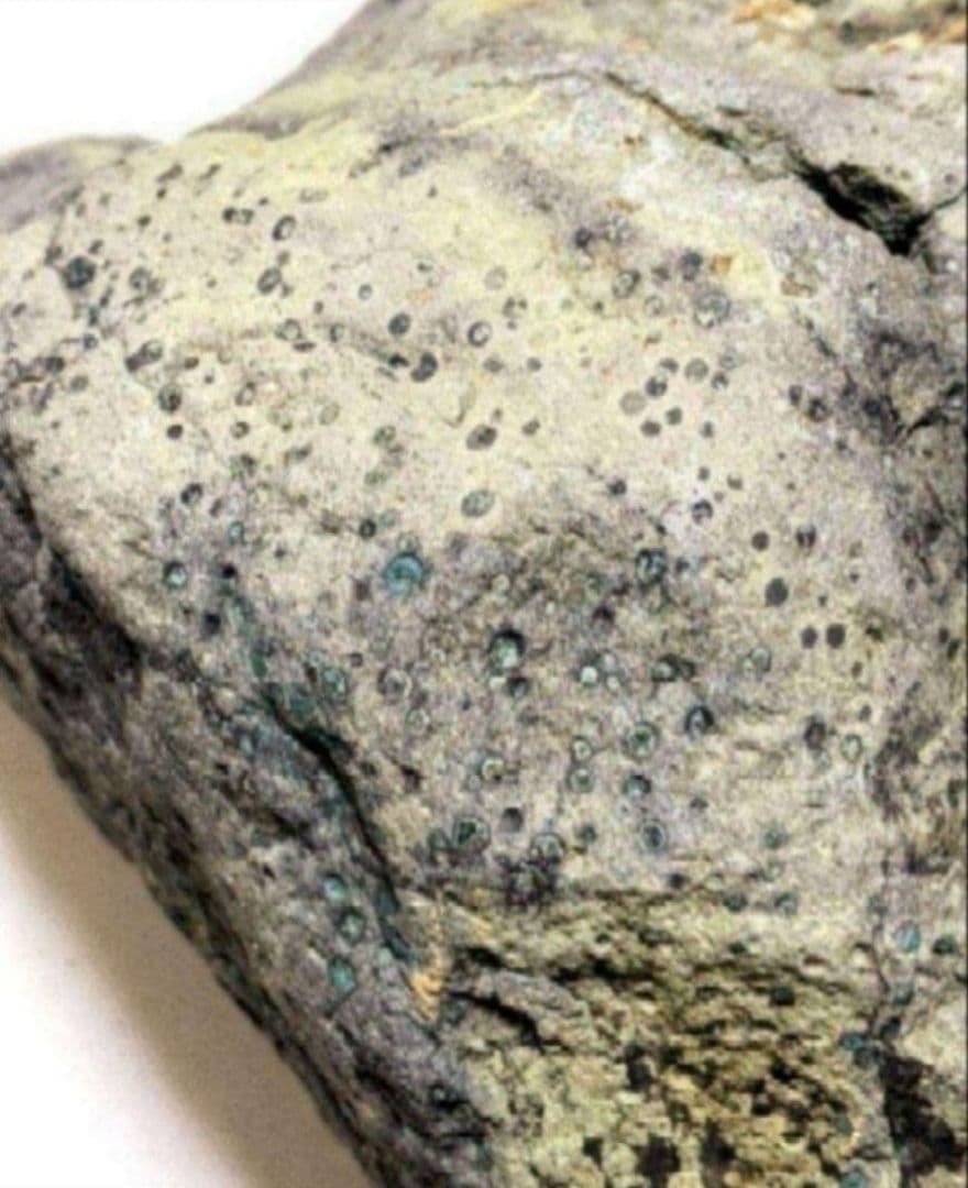 青森県産 今別町産 舎利母石 原石 安山岩 置き石 観賞石 奇石 約2.8kg