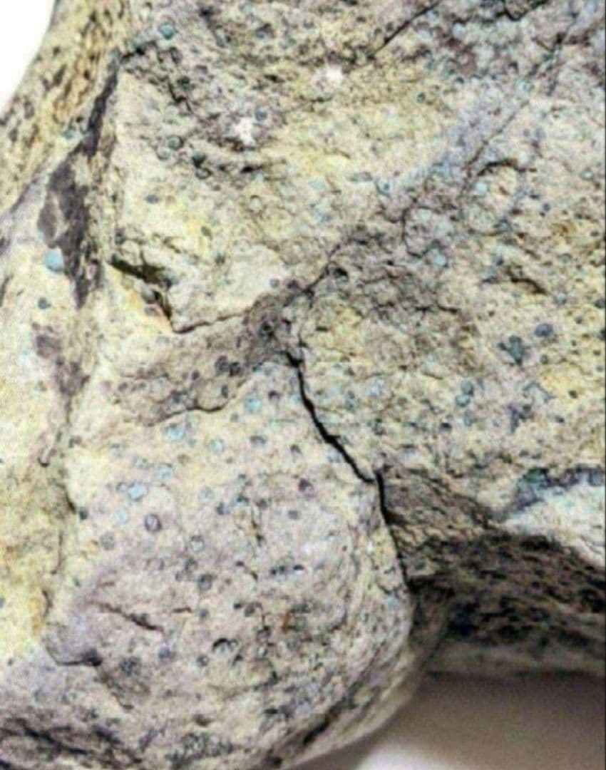 青森県産 今別町産 舎利母石 原石 安山岩 置き石 観賞石 奇石 約2.8kg