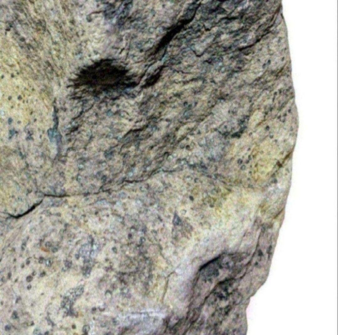 青森県産 今別町産 舎利母石 原石 安山岩 置き石 観賞石 奇石 約2.8kg