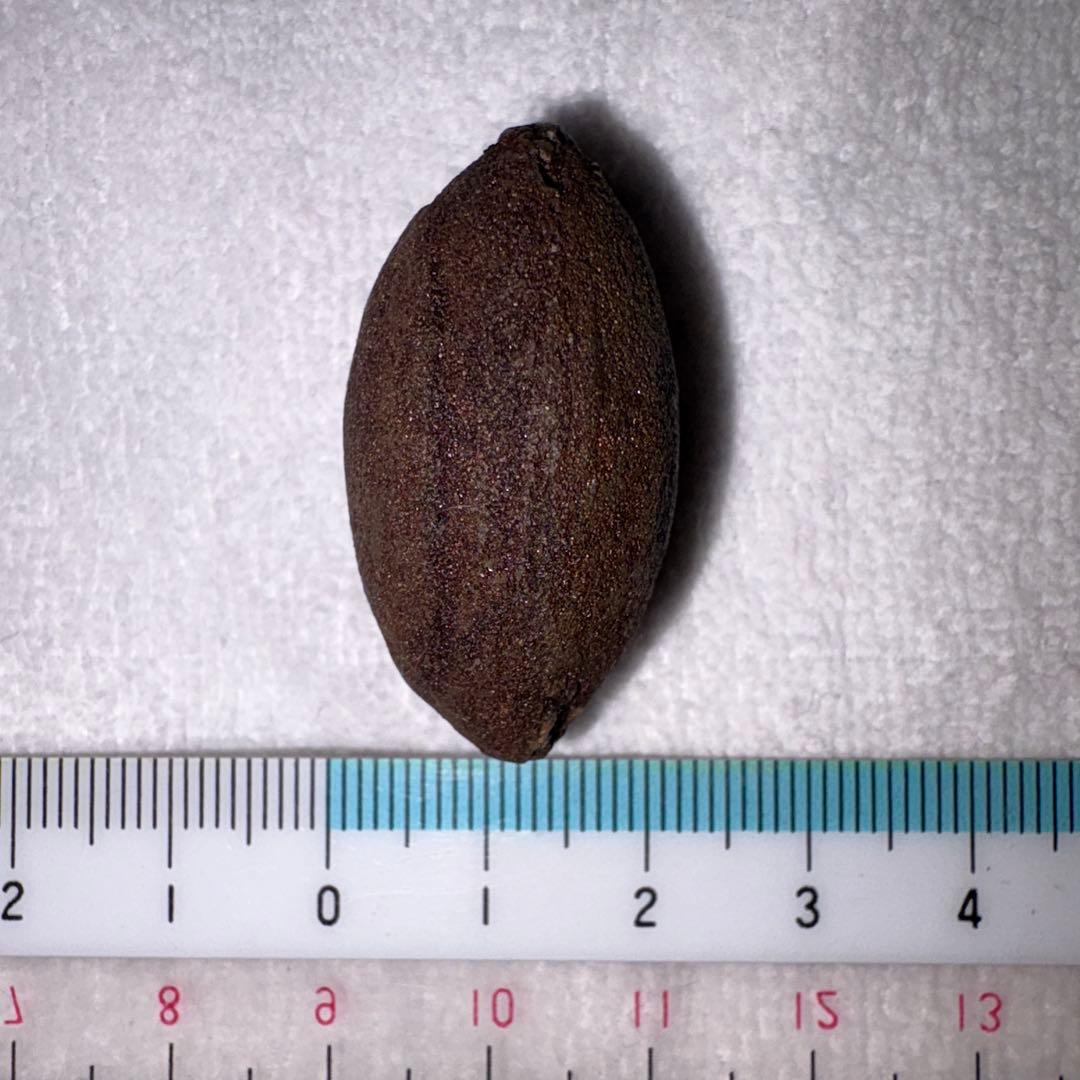 [希少] ボージーストーンBoji Alive STONES 2個セット