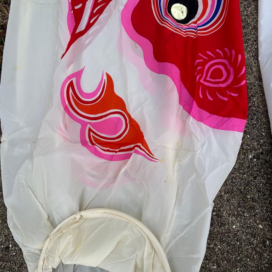 鯉のぼり 5枚セット 五月 子供の日